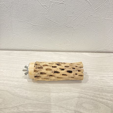 カクタスパーチ小③ 直径約3~4cm 長さ10cm