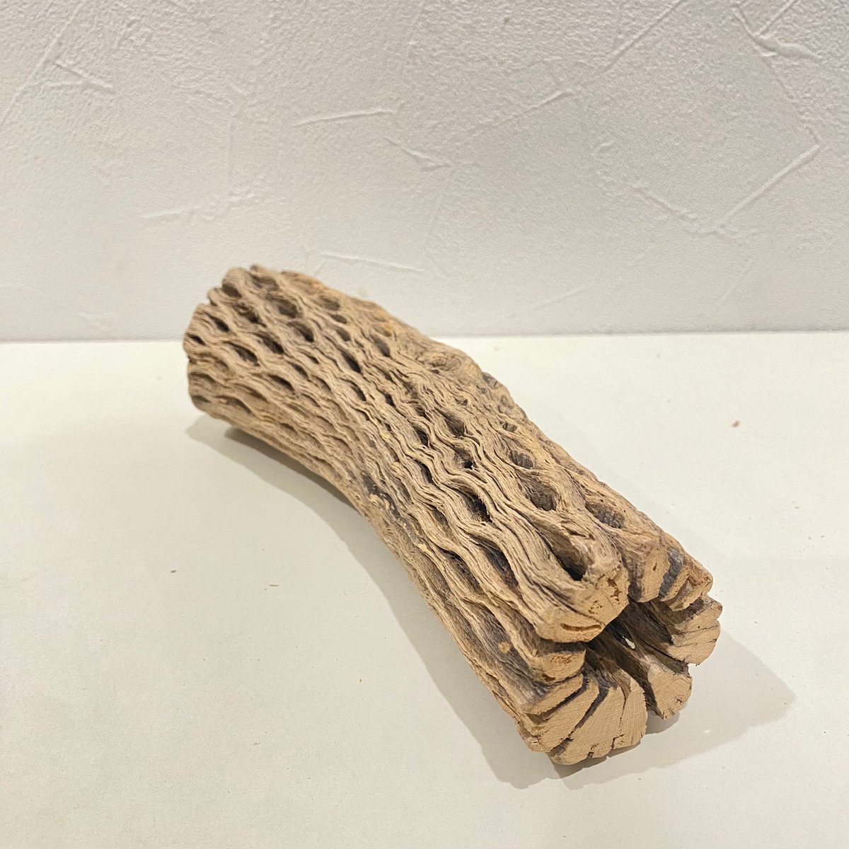 カクタスパーチ(O) 直径約5cm/長さ19cm | 自然木の鳥用品 鳥豆堂