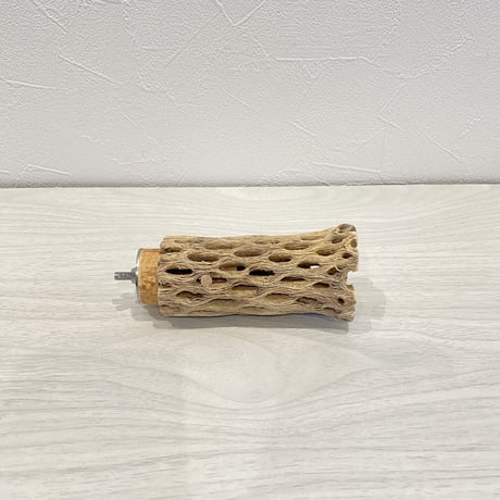 カクタスパーチ① 小直径3.5cm 長さ10cm