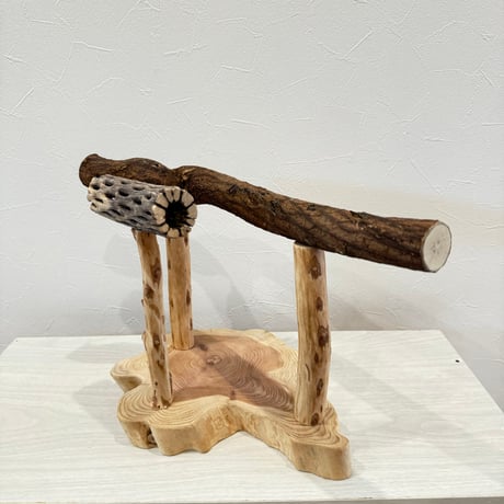 ツタとカクタスのスタンドパーチ【A】
