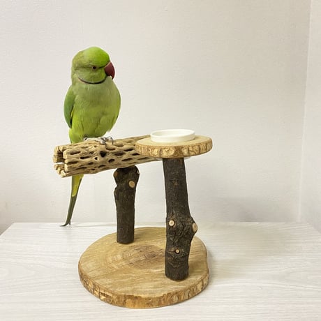おやつ入れ付き カクタススタンドパーチ② 中型さん用