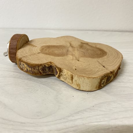 カイヅカイブキの丸太テーブルパーチ②　円直径11×8cm