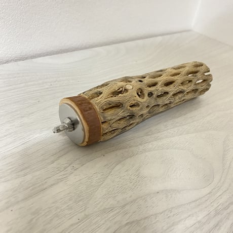 カクタスパーチ① 小サイズ 直径（約3-4cm）長さ/14cm