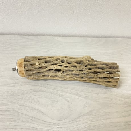 カクタスパーチ⑤ 小サイズ 直径（約3-4cm）長さ/15.5cm