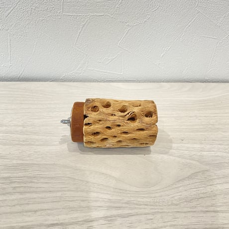 カクタスパーチ① 中サイズ直径5.5cm/7cm
