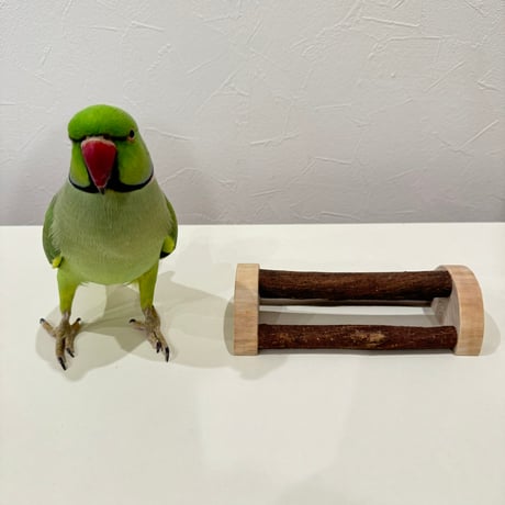 幼鳥・老鳥・介護用　置き型パーチ 小型から中型さん