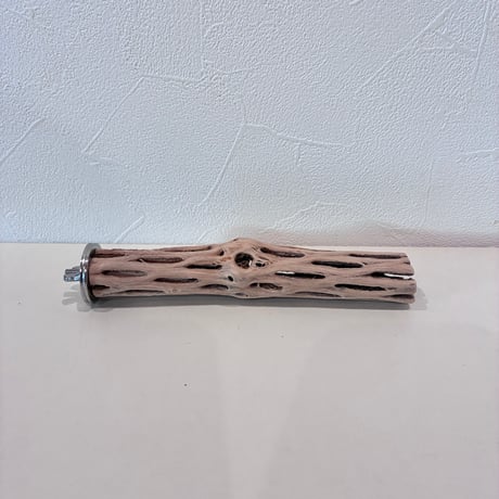 カクタスパーチ | STORES