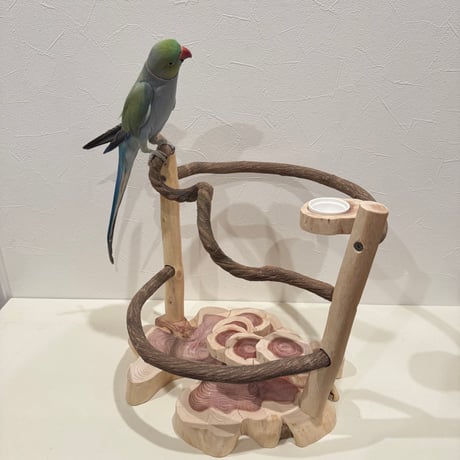 ツタと貝塚伊吹の螺旋階段アスレチック【インコのおもちゃ・自然木のとまり木】