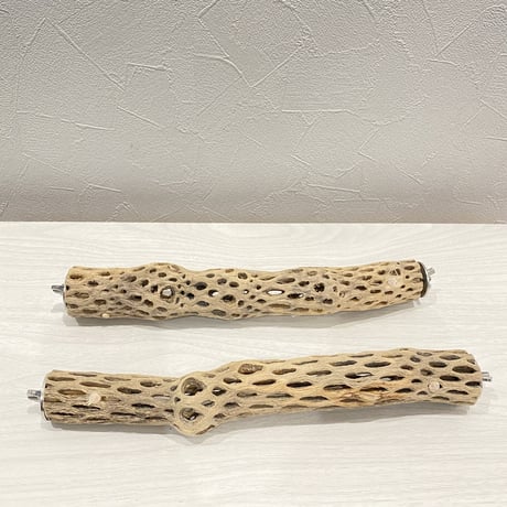 【sora_pyonpyon様専用】カクタスパーチ  極小/27.5cm