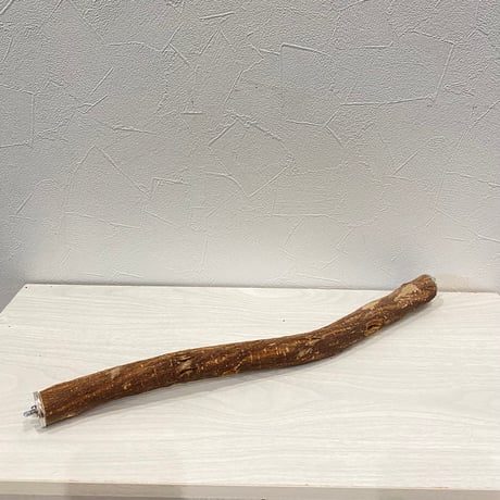 殿様パーチ（自然木ツタ）② HOEI465サイズ