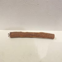 自然木（ツタ）パーチ ⑥ 直径約3cm/長さ25cm