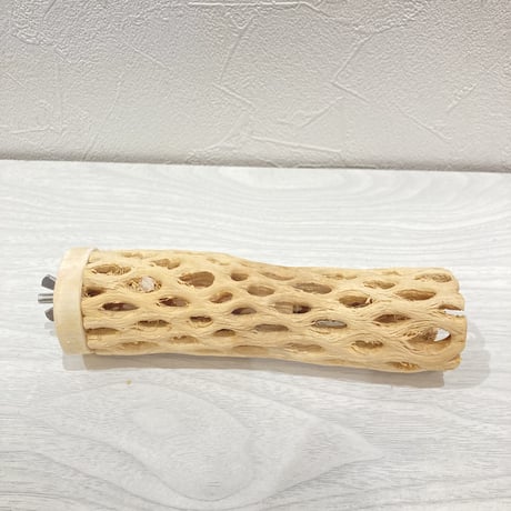 カクタスパーチ【4】中 直径約5cm 長さ15cm