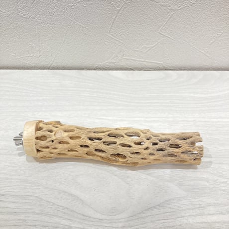 カクタスパーチ【6】極小 直径約3cm 長さ15cm