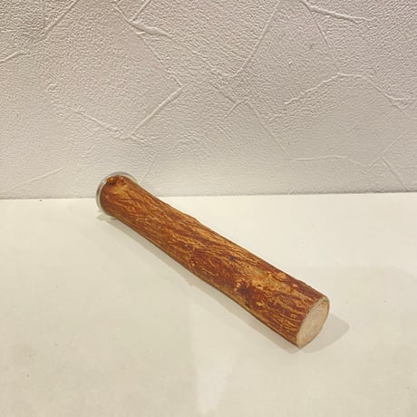 自然木（ツタ）パーチ 直径約2.3cm/長さ15cm