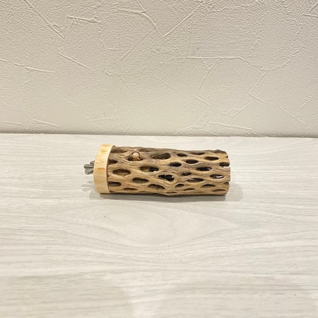 カクタスパーチ【6】 小直径3.5cm/10cm