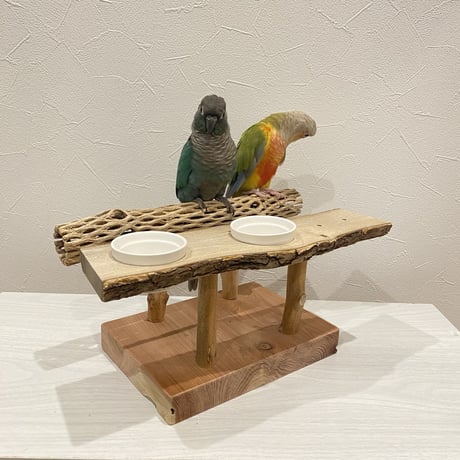 おしゅし屋さんカウンタースタンド