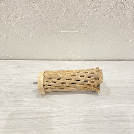 カクタスパーチ①  中 直径約5.5cm 長さ12.5cm