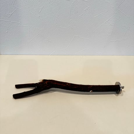 自然木（ツタ）パーチ 直径1.6cm/長さ24.5cm