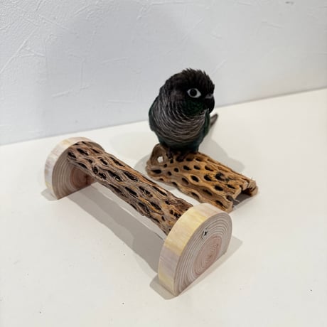 幼鳥・老鳥・介護サポート用　置き型カクタスパーチ 全長19cm/カクタス長さ15cm