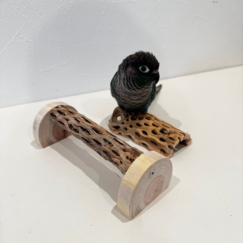 幼鳥・老鳥・介護サポート用 置き型カクタスパーチ 全長19cm/カクタス