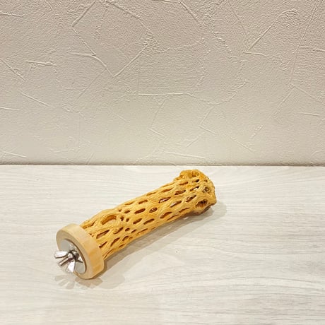 カクタスパーチ② 小サイズ長さ14cm