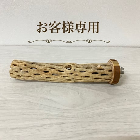 【ココナッツ様専用】カクタスパーチ極小　直径2〜3cm／長さ16cm
