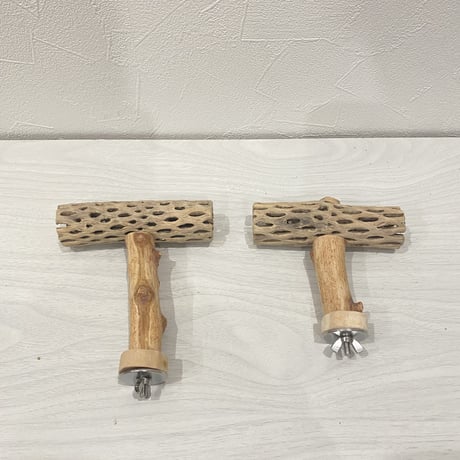 【F様専用】カクタスパーチ  小 直径約4cm