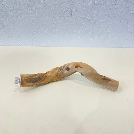 自然木（ツタ皮無し）パーチ 直径2.2~3cm/長さ21cm