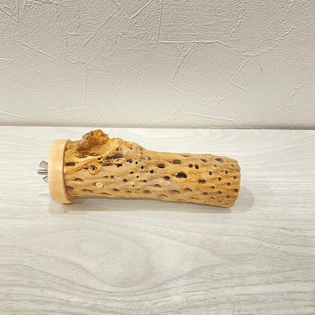 カクタスパーチ小 ④直径3~4cm 長さ13cm