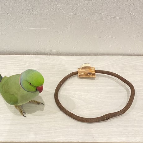自然木（ツタ）のドーナツパーチビックサイズ  Ｍパーチ直径1cm／円直径16.5×21cm