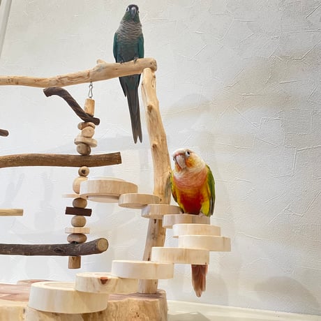 ブランコと螺旋階段のバードアスレチック【インコのおもちゃ・自然木のとまり木】