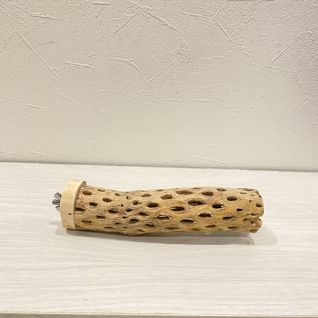カクタスパーチ【17】 小直径3.5cm/15cm