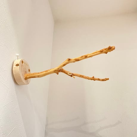 ピノキオの鼻 ①