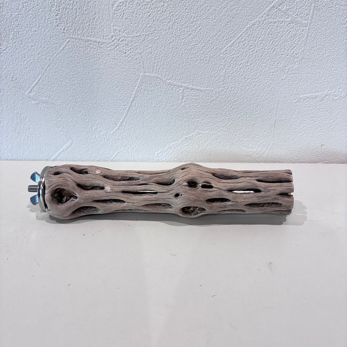 カクタスパーチ極小サイズ⑯ 直径2.5~3cm/長さ15cm【自然木 止まり木