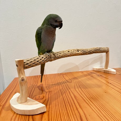 カクタスのなが〜いくつろぎスタンドパーチ【インコのおもちゃ・自然木のとまり木】