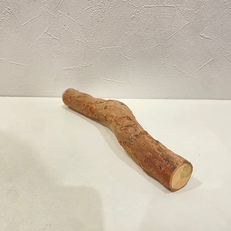 自然木（ツタ）パーチ⑪  直径約3cm/長さ25cm