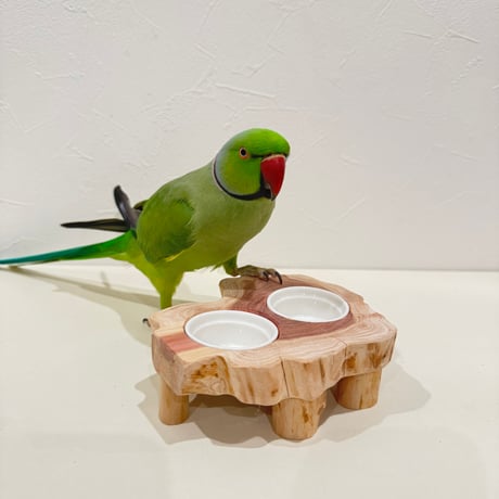 鳥用品 止まり木 カクタス スケルトン パーチ 超特大 No.232鳥の鳥