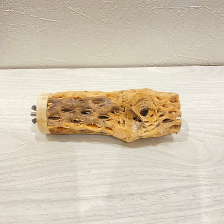 カクタスパーチ【13】直径4~5cm/長さ13.5cm