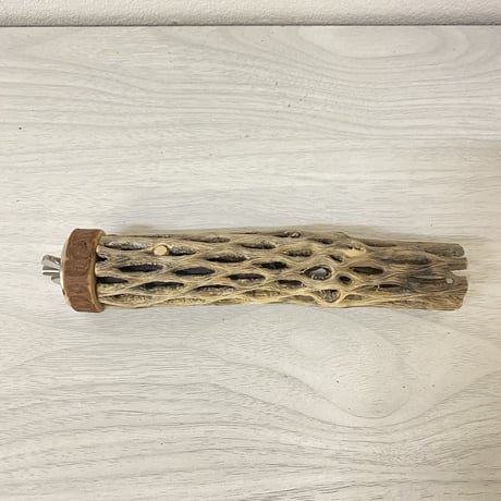 カクタスパーチ⑧ 極小サイズ 直径（約2-3cm）長さ/15cm