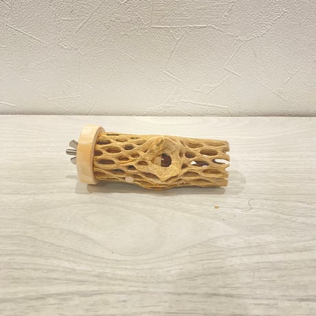 カクタスパーチ小 ⑧直径3~4cm 長さ10cm