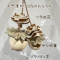 天然素材100% ゾウノリンゴのフォレイジングトイ【インコのおもちゃ】B