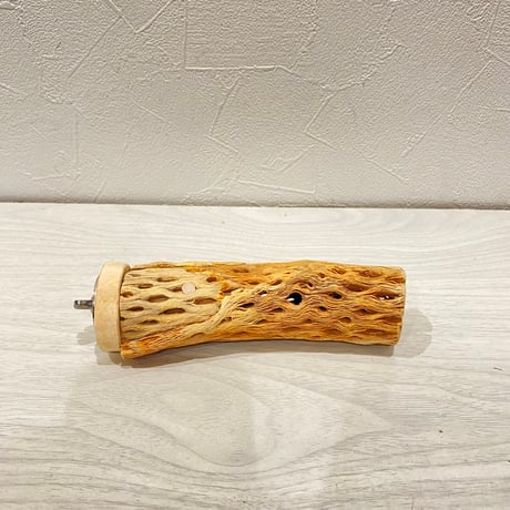 カクタスパーチ小3-4㎝長さ13.5㎝