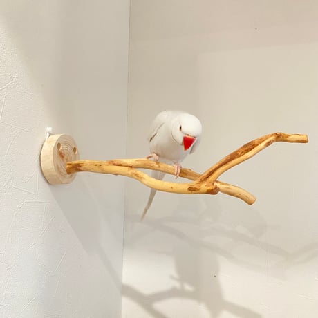 ピノキオの鼻 ⑧
