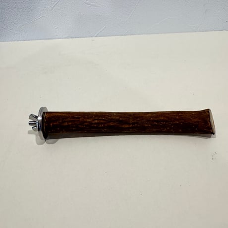 自然木（ツタ）パーチ 直径約2.1cm/長さ15.8cm