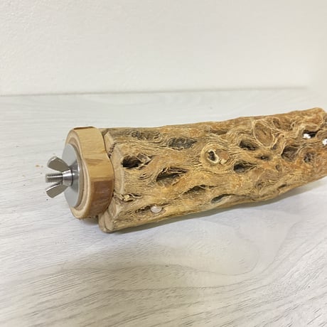 【中型・大型用】カクタスパーチ中④　直径5cm／長さ15cm