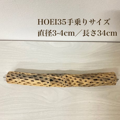 ケージサイズカクタスパーチ 小サイズ直径3-4cm HOEI35 手乗り⑥