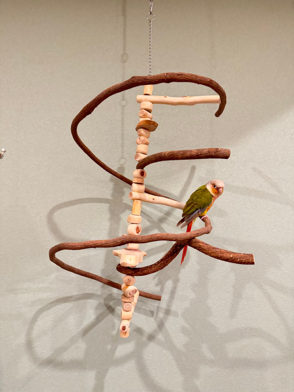 ② MEGオーダーバードアスレチック　流木　送料分 ② MEGオーダーバードアスレチック 流木 送料分 ② MEGオーダー