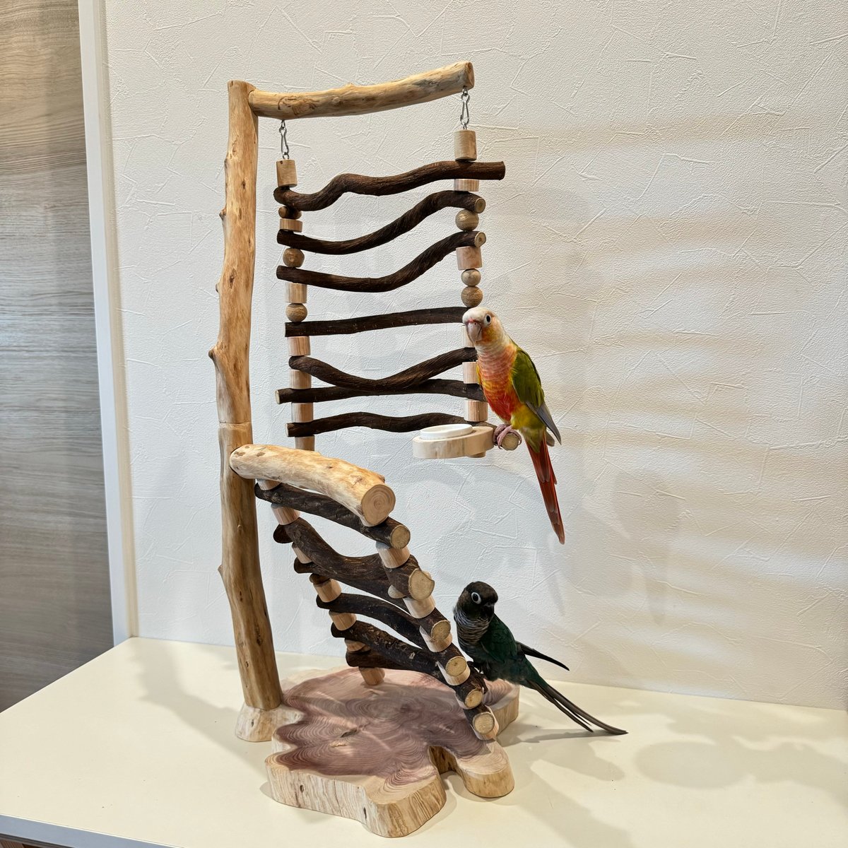 中型鳥用】ブランコ&ハシゴで楽しいバードアスレチック 【公式通販】