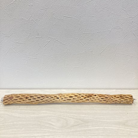 ケージサイズカクタスパーチ② 極小サイズ直径2~3cm HOEI465サイズ
