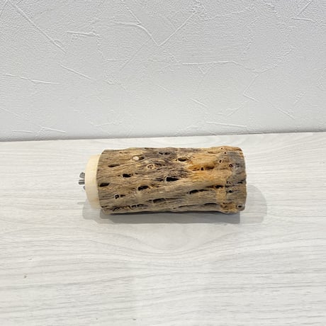 カクタスパーチ⑧ 中直径5.5cm 長さ12.5cm